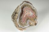 Polished, Banded Laguna Agate - Mexico #193178-2
